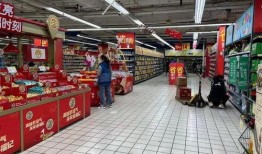 沈阳家乐福超市爆料视频,惊人内幕曝光！