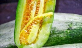 有哪些吃瓜的网红,盘点那些吃瓜群众的网红风采